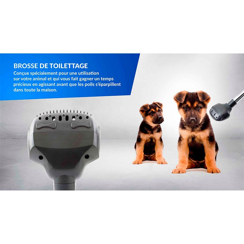 Brosse d'aspirateur pour poils de chiens et animaux universel